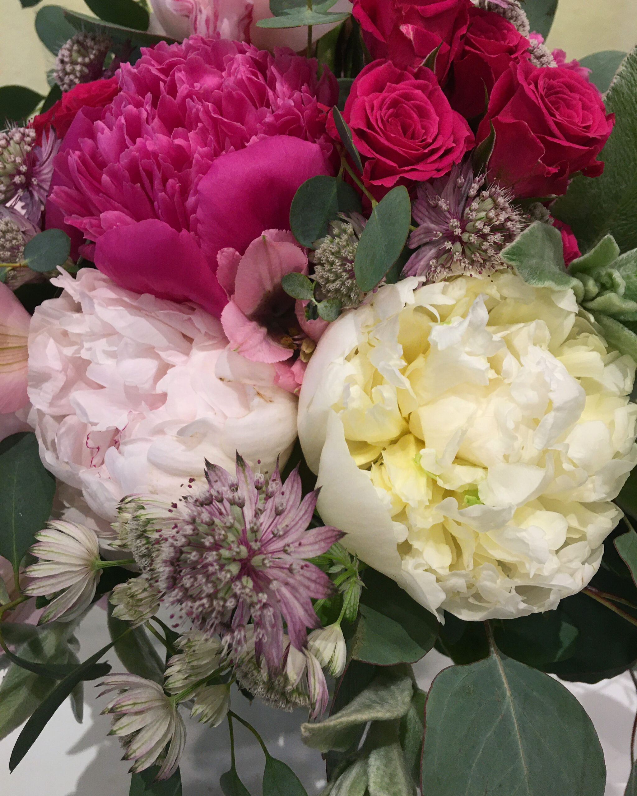 peonies and more